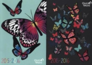 Butterfly 2015/2016