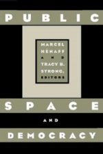 Public Space And Democracy