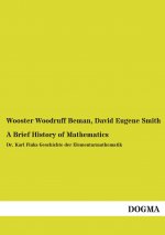 A Brief History of Mathematics
