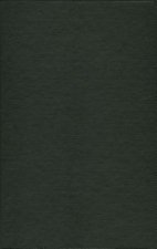 Companion to Endgame at Stalingrad