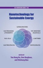 Nanotechnology for Sustainable Energy