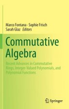 Commutative Algebra, 1