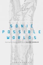 Sonic Possible Worlds