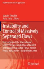 Instability and Control of Massively Separated Flows