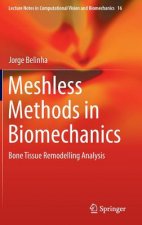 Meshless Methods in Biomechanics