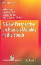 New Perspective on Human Mobility in the South