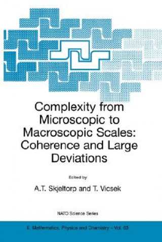 Complexity from Microscopic to Macroscopic Scales: Coherence and Large Deviations