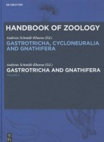 Gastrotricha and Gnathifera