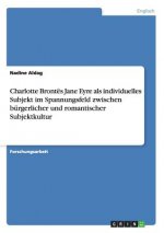 Charlotte Brontes Jane Eyre als individuelles Subjekt im Spannungsfeld zwischen burgerlicher und romantischer Subjektkultur