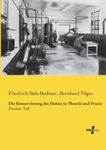 Konservierung des Holzes in Theorie und Praxis