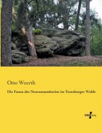 Fauna des Neocomsandsteins im Teutoburger Walde