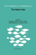 Salton Sea