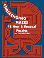 Challenging Mazes: 48 New & Unusual Puzzles