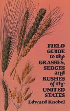 Field Guide to the Grasses, Sedges, and Rushes of the Northern United States