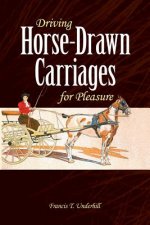 Driving Horse-Drawn Carriages for Pleasure