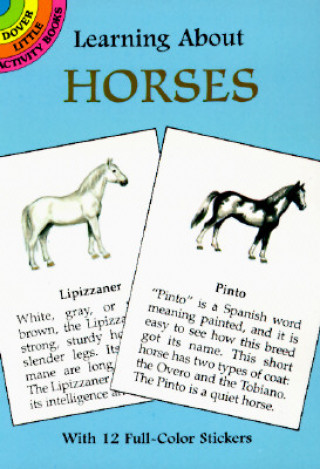 Learning about Horses