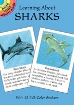 Learning about Sharks
