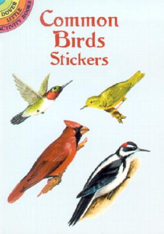 Common Birds Stickers