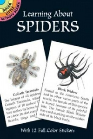 Learning about Spiders