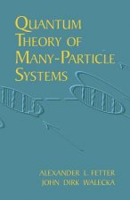 Quantum Theory of Many-Particle Sys