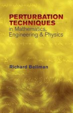 Perturbation Techniques in Mathematics