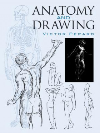 Anatomy and Drawing (Victor Perard)(Miękka)