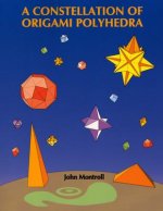 Constellation of Origami Polyhedra