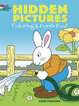 Hidden Pictures Coloring and Puzzle Fun