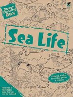 Dover Coloring Box -- Sea Life