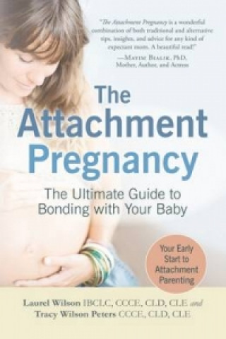 Attachment Pregnancy