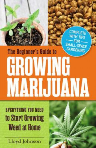 Beginner's Guide to Growing Marijuana