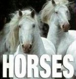 Mini Cubebook Horses