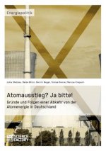 Atomausstieg? Ja bitte! Grunde und Folgen einer Abkehr von der Atomenergie in Deutschland