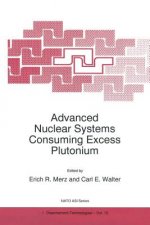 Advanced Nuclear Systems Consuming Excess Plutonium