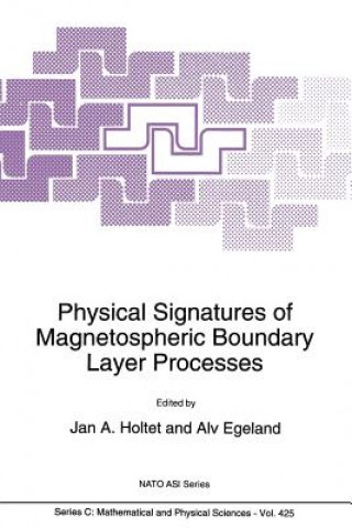 Physical Signatures of Magnetospheric Boundary Layer Processes
