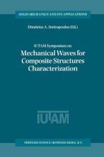 IUTAM Symposium on Mechanical Waves for Composite Structures Characterization