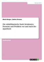 Die südafrikanische Stadt: Strukturen, Prozesse und Problem vor und nach der Apartheid