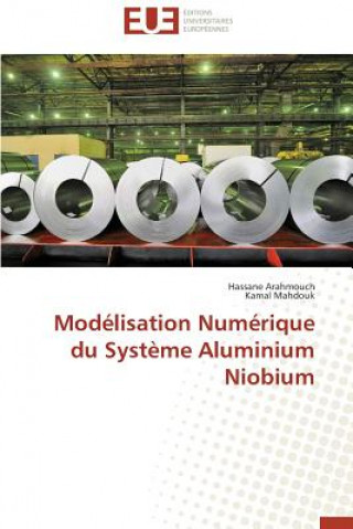 Mod lisation Num rique Du Syst me Aluminium Niobium