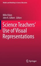 Science Teachers' Use of Visual Representations