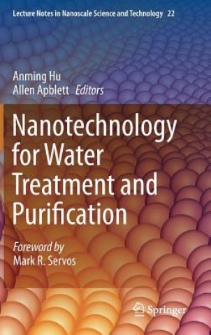 Nanotechnology for Water Treatment and Purification