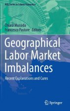 Geographical Labor Market Imbalances