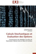 Calculs Stochastiques Et Evaluation Des Options