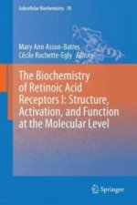 Biochemistry of Retinoic Acid Receptors I: Structure, Activation, and Function at the Molecular Level