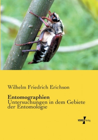 Entomographien
