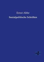 Sozialpolitische Schriften