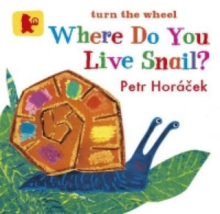 Where Do You Live Snail?