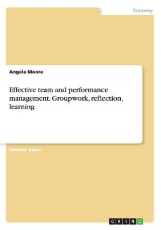 Effective team and performance management. Groupwork, reflection, learning