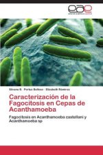 Caracterizacion de la Fagocitosis en Cepas de Acanthamoeba