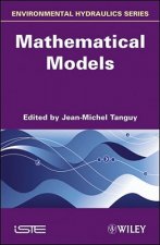 Environmental Hydraulics - Mathematical Models V 2