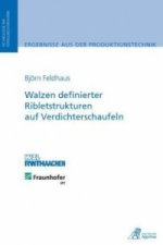 Walzen definierter Ribletstrukturen auf Verdichterschaufeln